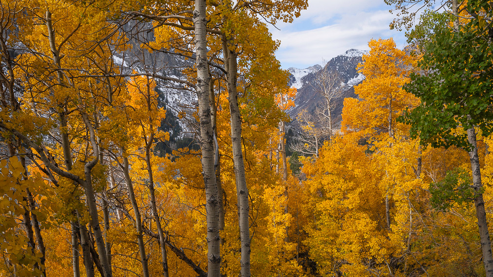 Ephemeral Pond In Lundy Canton 
