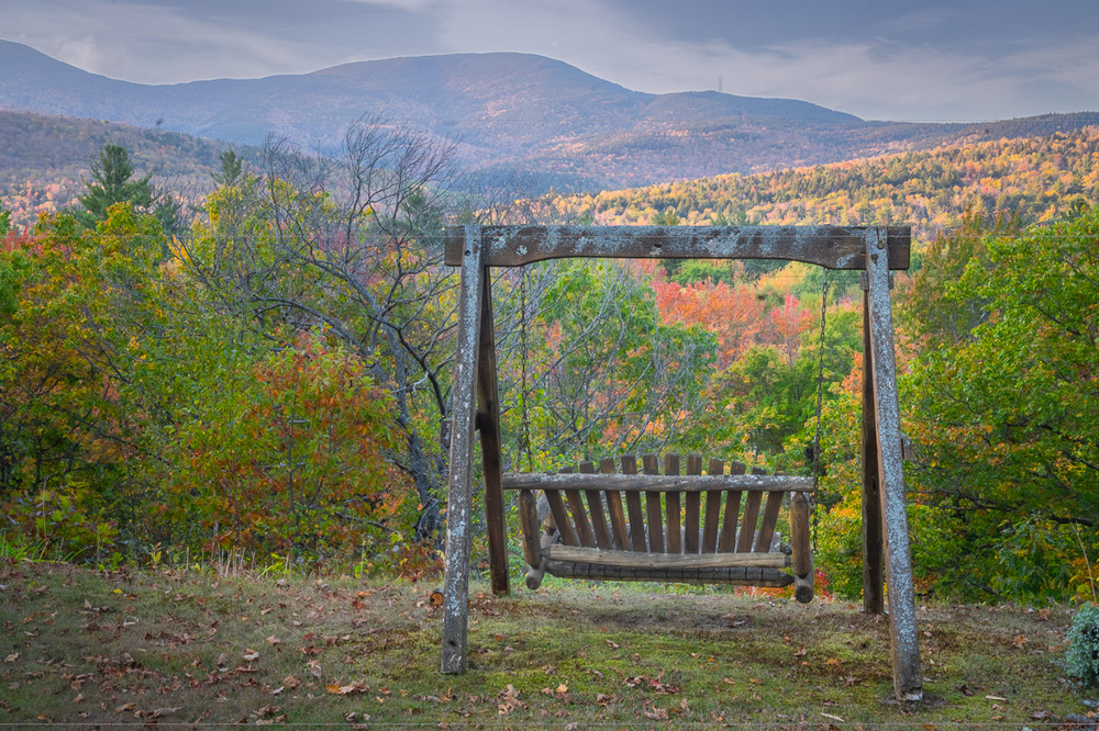 The Bench - North Side Road