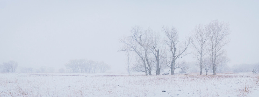 A Stormy Pano neat the Owens River 