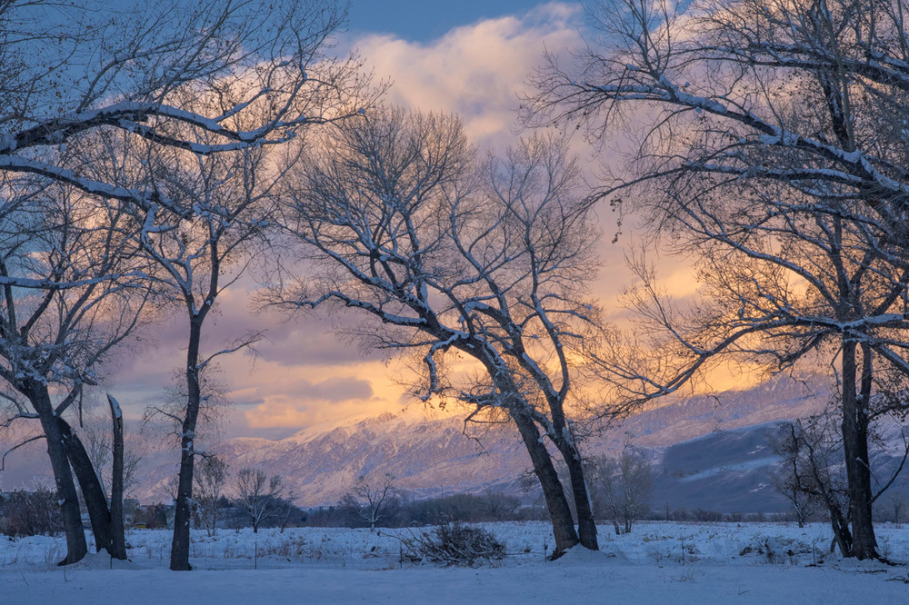 Stormy Dusk - near Bishop