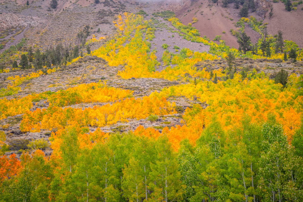 A Beautiful Spot along Bishop