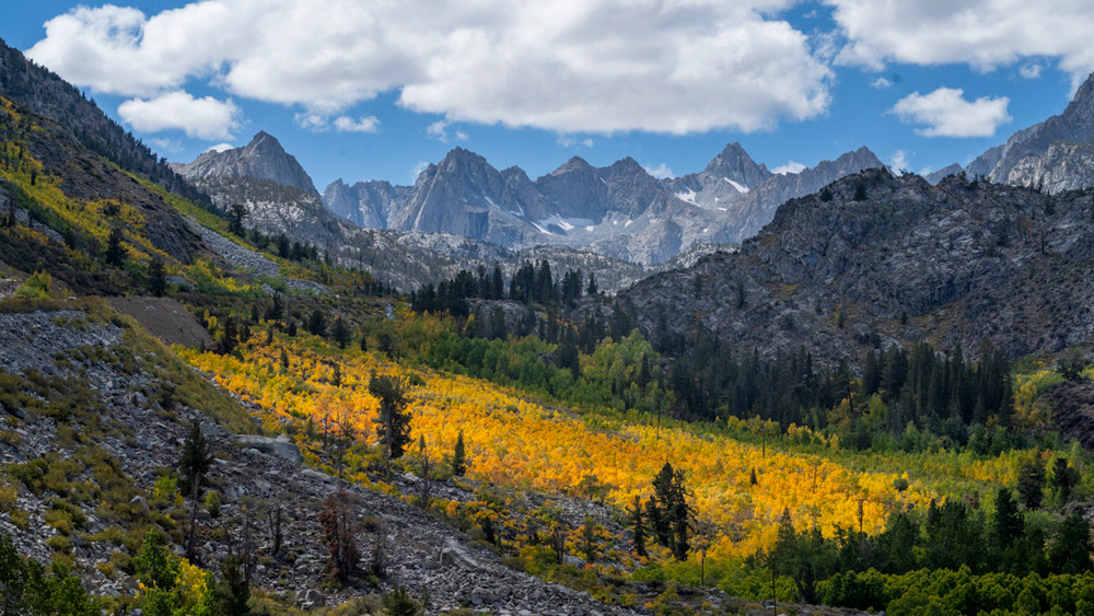 A Refreshing Look at an Old Capture