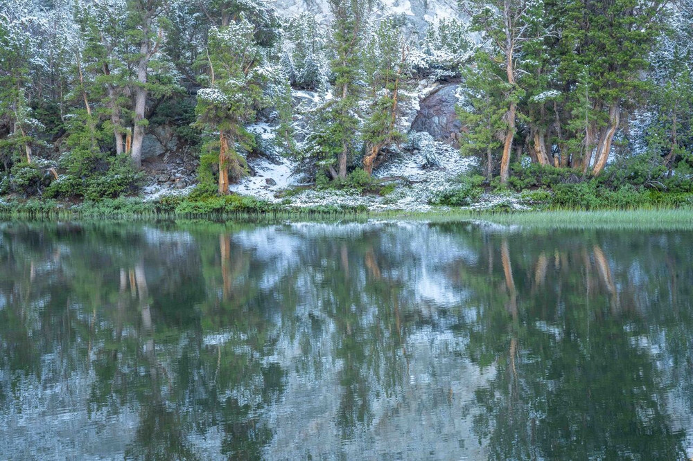 A Quiet Reflection