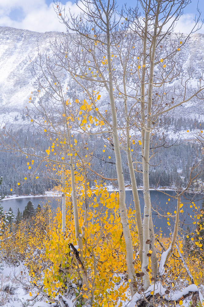 Canyons of the Eastern Sierra #8