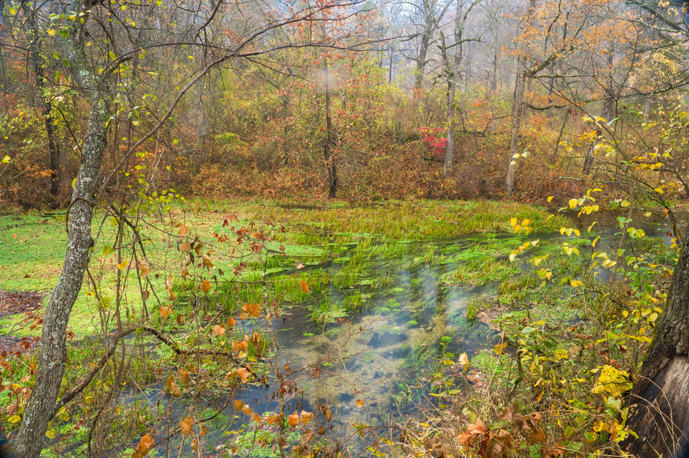 A Pond at Round Valley