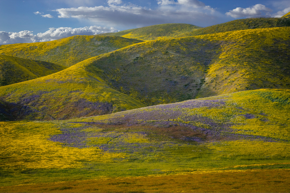 Southern California Hillsides