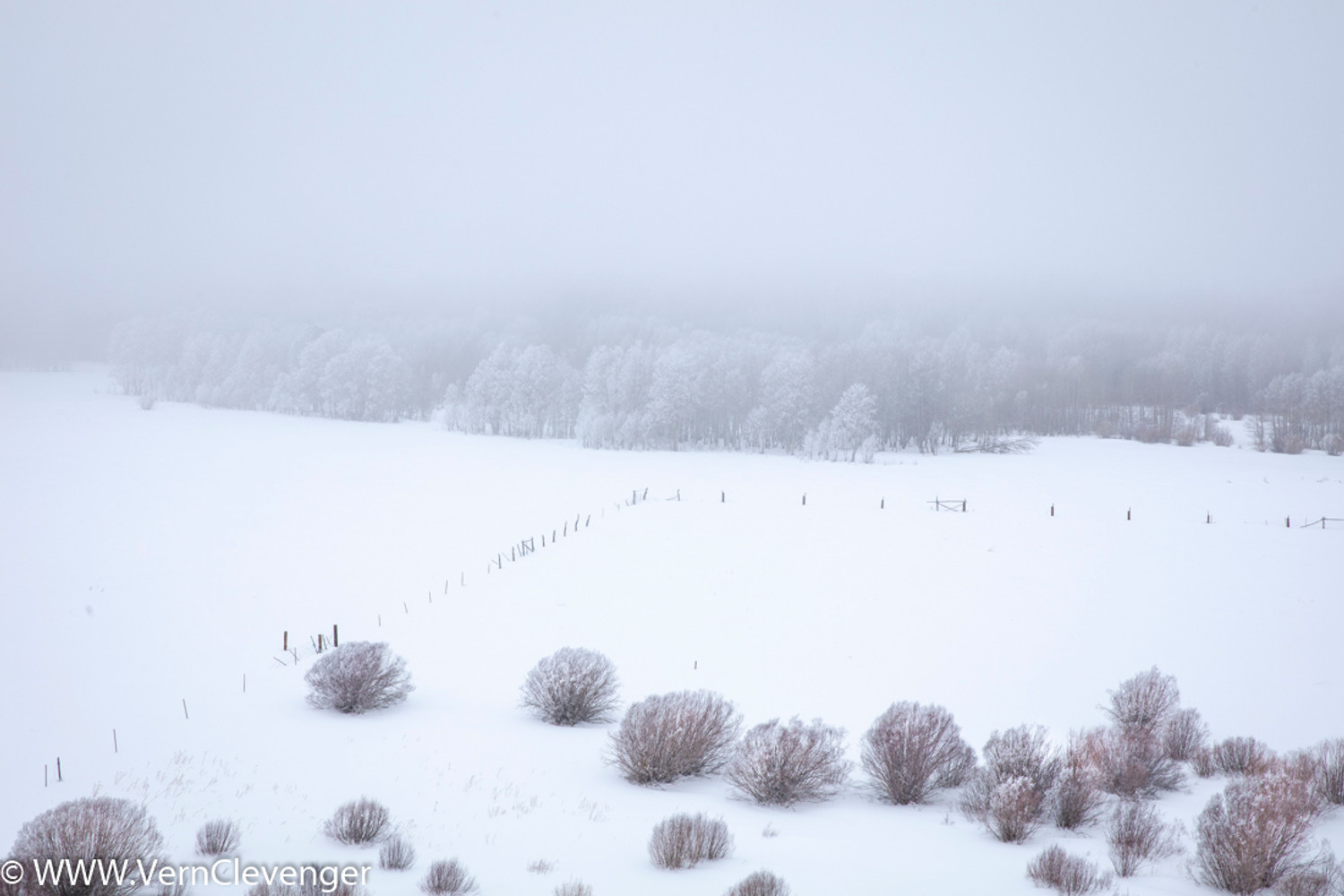 The Snowy Winter of 2019