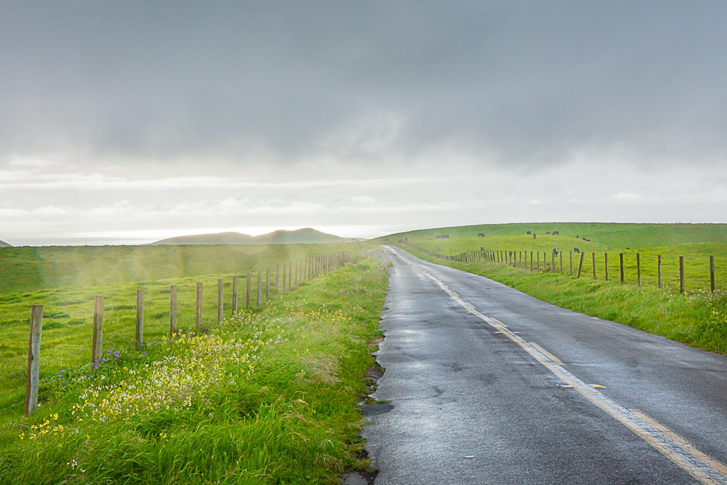 Vanishing Point at Point Reyes