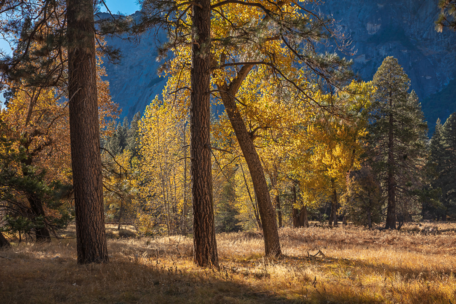 Autumn in Yosemite