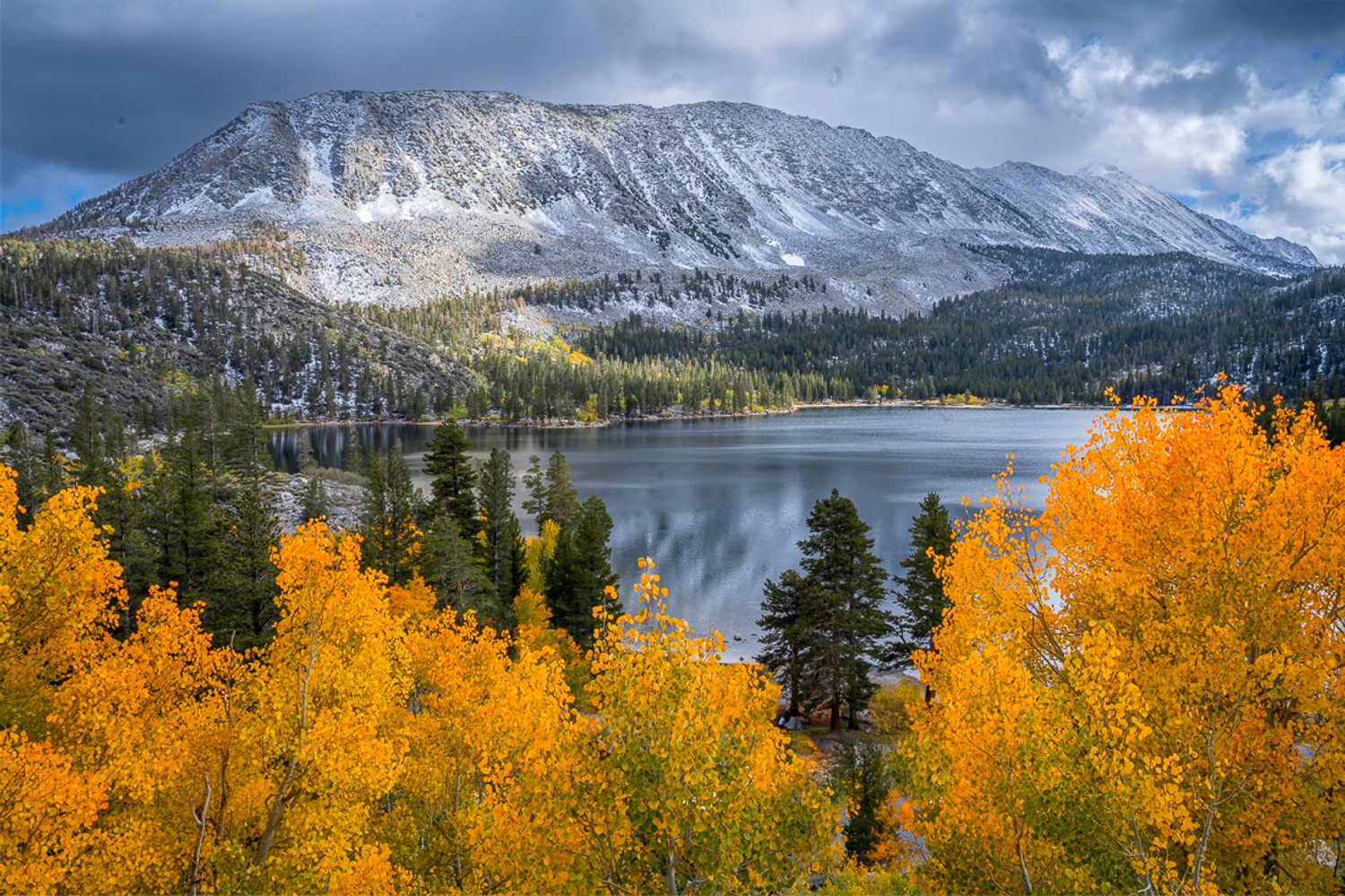 Late Afternoon, Mount Morgan and Autumn Colors