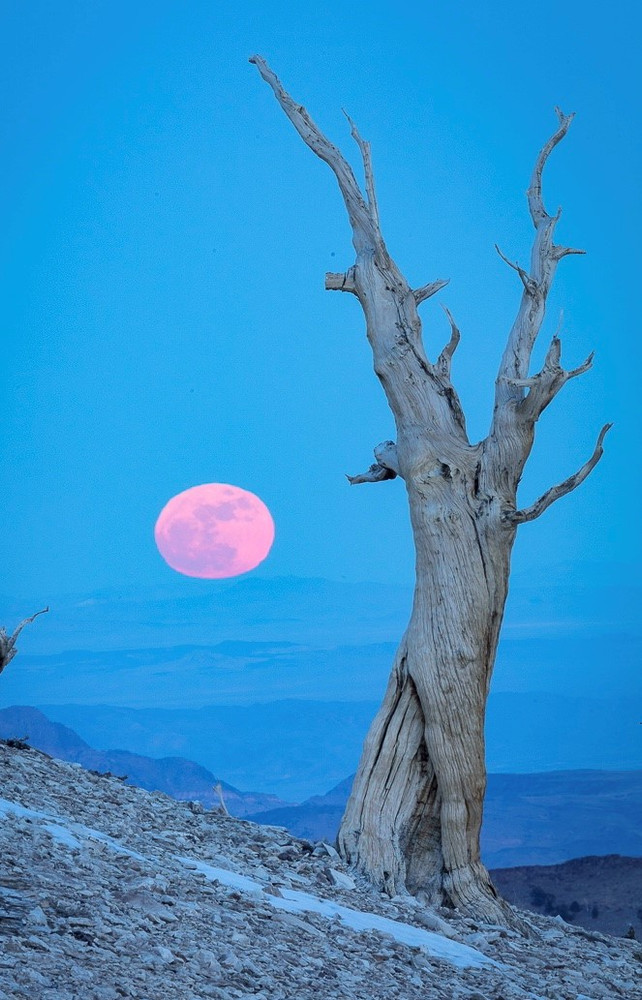 SuperMoon, New Years Day,       the White Mountains