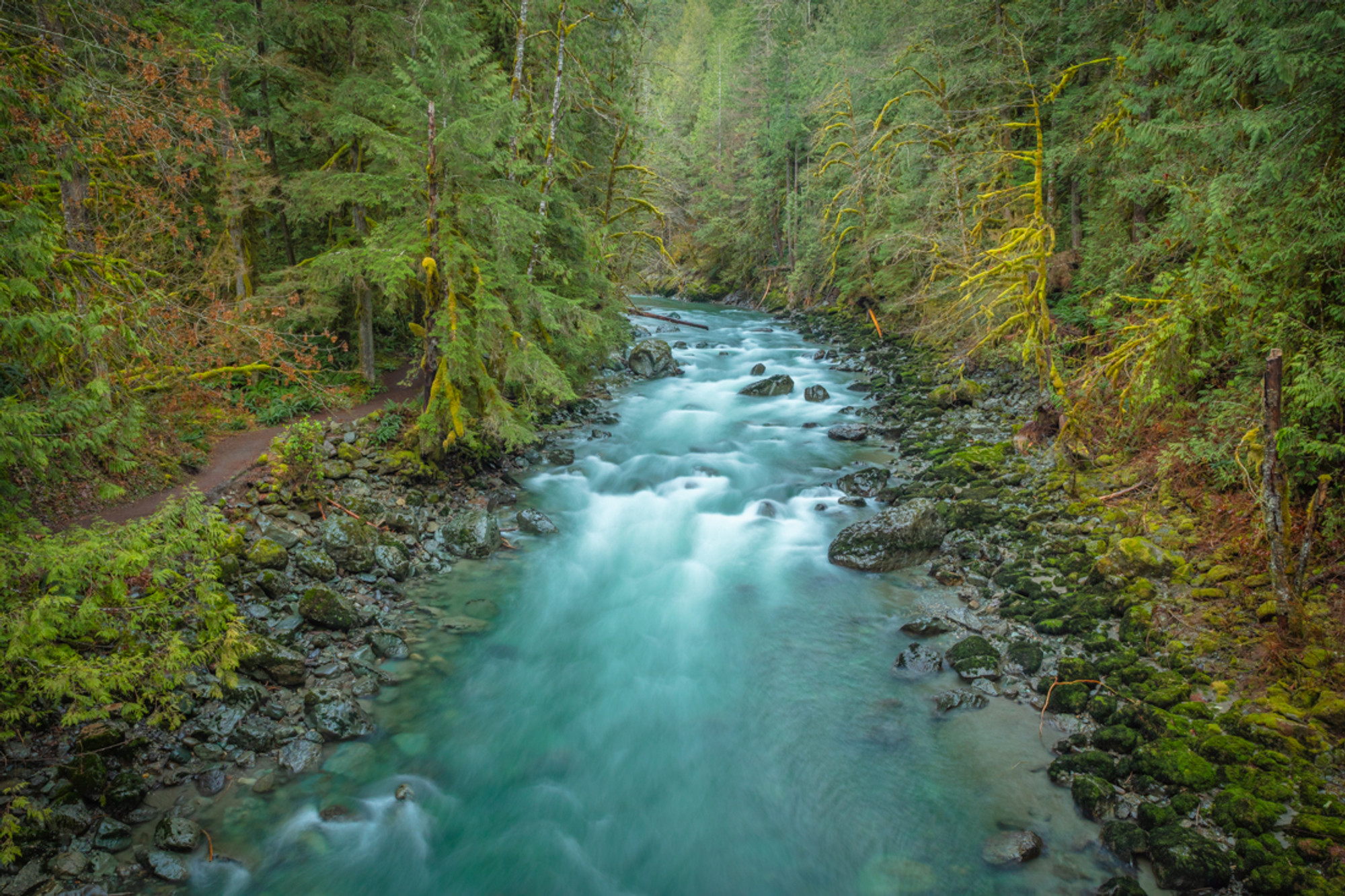 Fast Flowing River In, forest, flowing, nature, river, creek, trees, sky,  fast, HD wallpaper | Peakpx