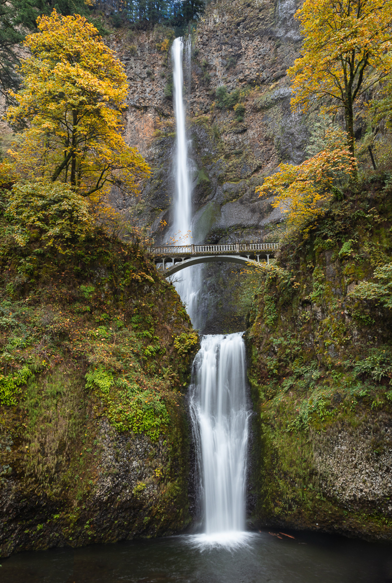 Autumn At Multnomah Falls Vern Clevenger Photography