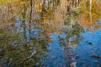 An Autumn Reflection in the White Mountains