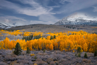 Glowing Conway Summit