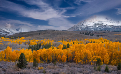 Glowing Conway Summit