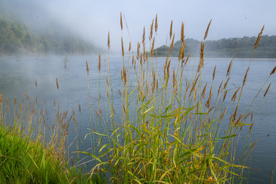 Morning on the Klamath River