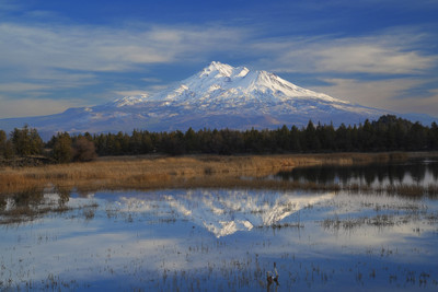 Brilliant Afternoon - Mount Shasta 
