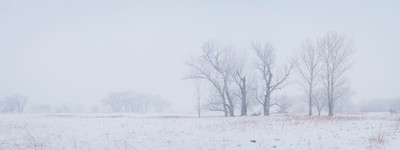 A Stormy Pano neat the Owens River 