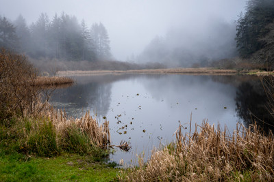 Lagoon Creek and a Foggy Afternoom
