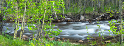 Runoff from South Lake Sabrina