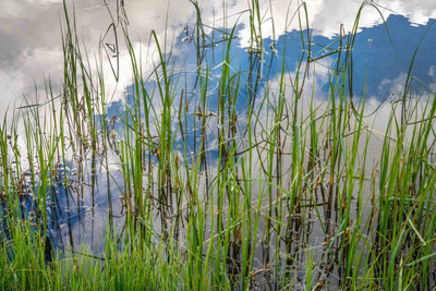 Reflections in the High Sieera