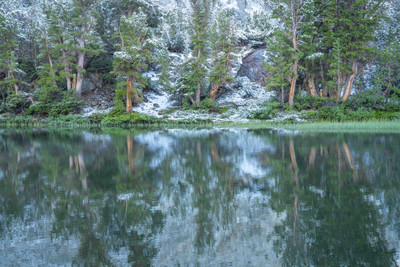 A Quiet Reflection