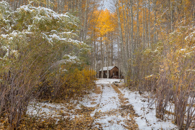 Hidden Cabin in the Aspens