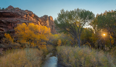 Escalante Autumn Splendor