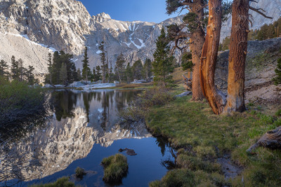 Trailside View - John Muir Wilderness