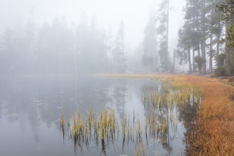 Foggy Afternoon, Autumn at Siesta Lake