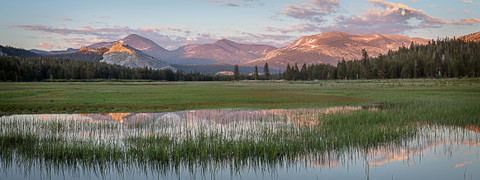 A Moment in Tuolumne Meadows