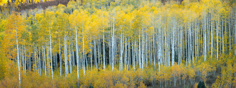 Autumn in the San Juan Mountains