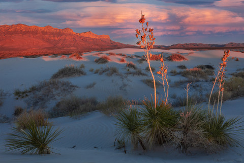 An Essential Moment Guadalupe Mountains National Park