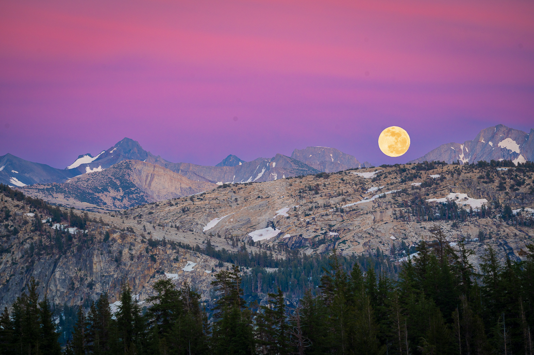 _DSC5572-Edit-2__74723.