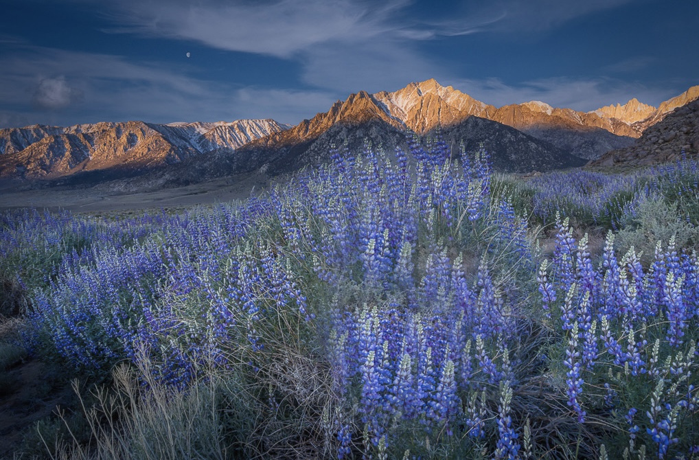 24-11__55973.1715126875.jpg?c=2