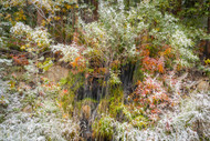 First Snow, Rock Creek