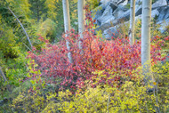 Closeups along the Bishop Drainage