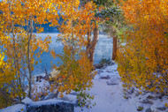 Hiking an Autumn Path