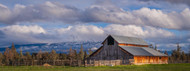 A Pano is Mount Shasta