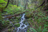A Wondserous  Waterrfall