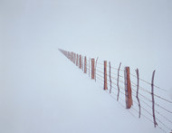 Bridgeport Fence