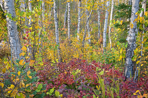 22-63__91826.1668815746.500.