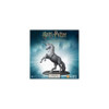 Harry Potter Miniatures Adventure Game - Unicorn Adventure Expansion Pack