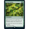 Sylvan Anthem