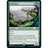 Endurance (foil)