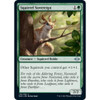 Squirrel Sovereign (foil)