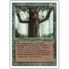 Ironroot Treefolk