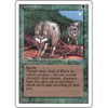 Timber Wolves