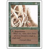 Wall of Brambles | Revised (3rd Edition)